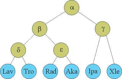 stemma-color.gif